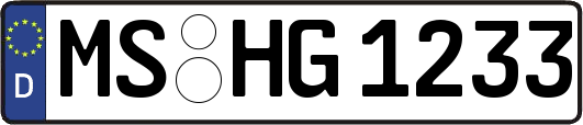 MS-HG1233