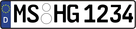 MS-HG1234