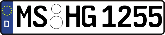 MS-HG1255