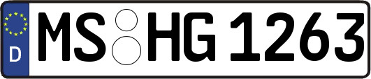 MS-HG1263