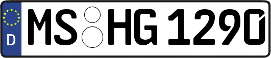 MS-HG1290