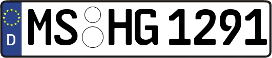 MS-HG1291