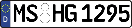 MS-HG1295