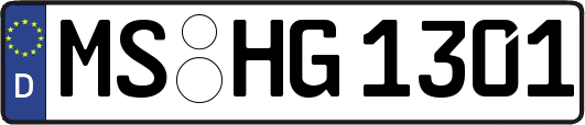 MS-HG1301