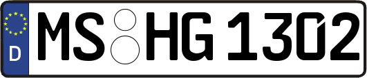 MS-HG1302