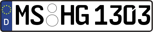 MS-HG1303