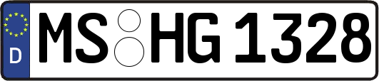 MS-HG1328