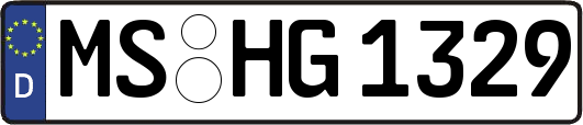 MS-HG1329