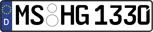 MS-HG1330