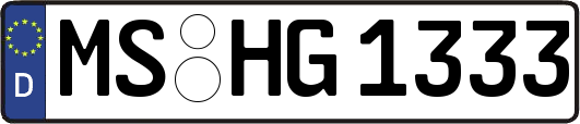 MS-HG1333