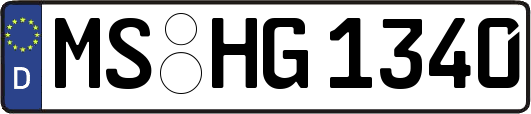 MS-HG1340