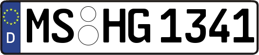 MS-HG1341