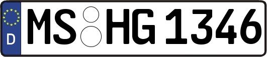 MS-HG1346