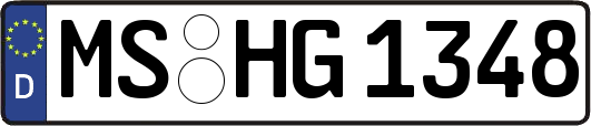 MS-HG1348