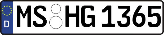 MS-HG1365