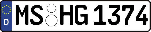 MS-HG1374