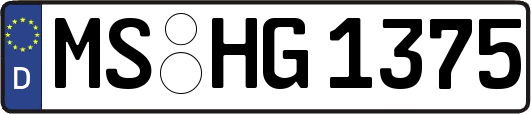 MS-HG1375