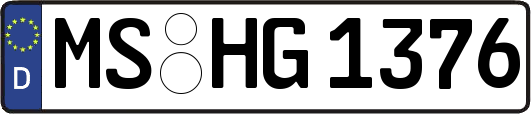 MS-HG1376
