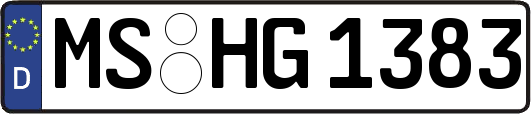 MS-HG1383