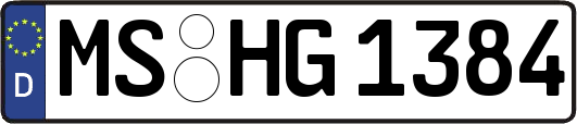 MS-HG1384