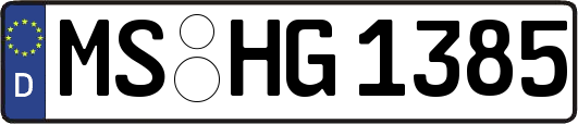MS-HG1385