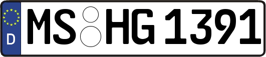 MS-HG1391