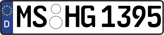 MS-HG1395
