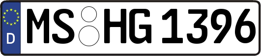MS-HG1396