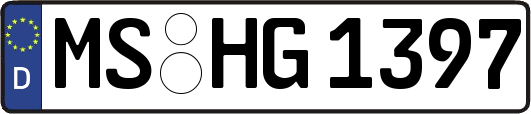 MS-HG1397