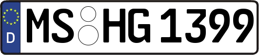 MS-HG1399