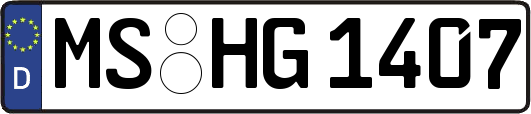 MS-HG1407