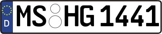 MS-HG1441
