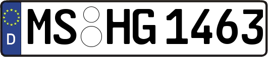 MS-HG1463