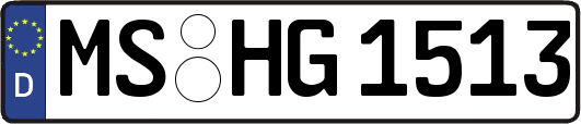 MS-HG1513