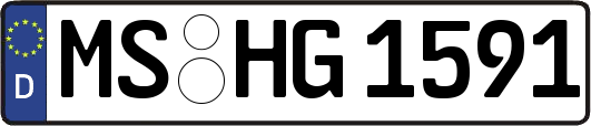 MS-HG1591