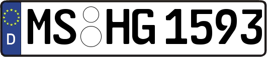 MS-HG1593