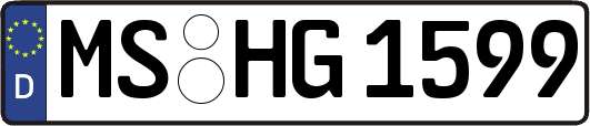 MS-HG1599