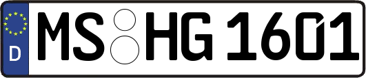 MS-HG1601