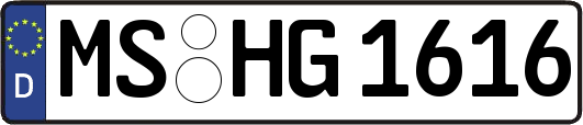 MS-HG1616