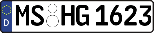 MS-HG1623