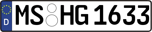 MS-HG1633