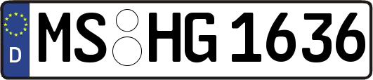 MS-HG1636