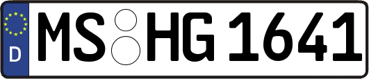 MS-HG1641