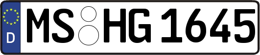 MS-HG1645