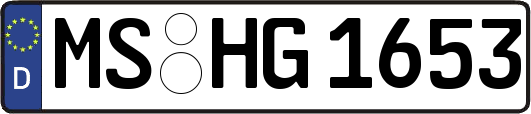MS-HG1653