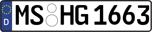 MS-HG1663