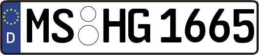 MS-HG1665