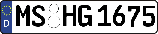 MS-HG1675