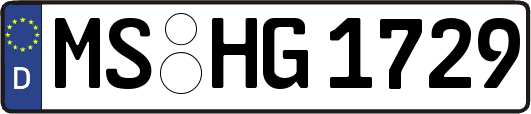MS-HG1729