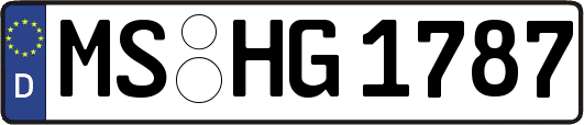 MS-HG1787